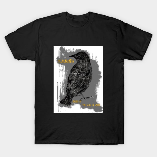 Blackbird singing... T-Shirt by jellygnomes